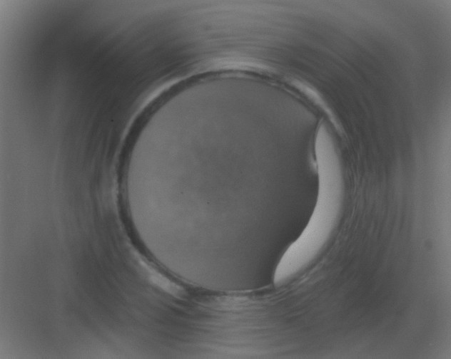 X0000081381024200702090006