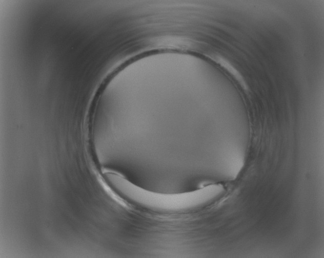X0000081381037200702090007
