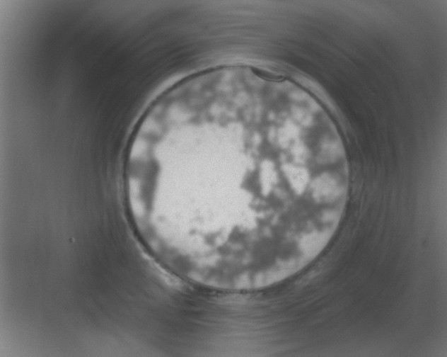 X0000081381048200702090007