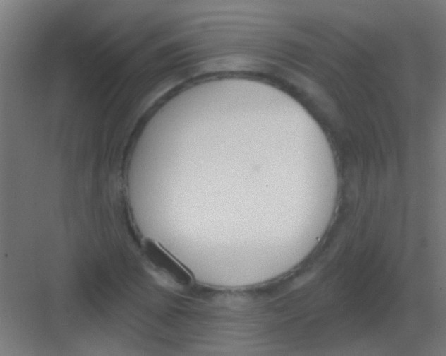 X0000081381073200702090006