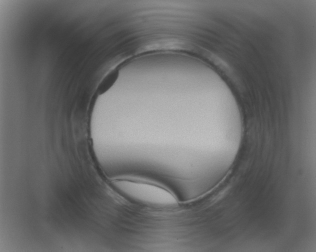 X0000081381081200702090006