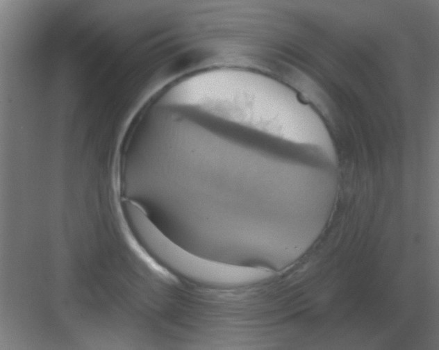 X0000081381084200702090006