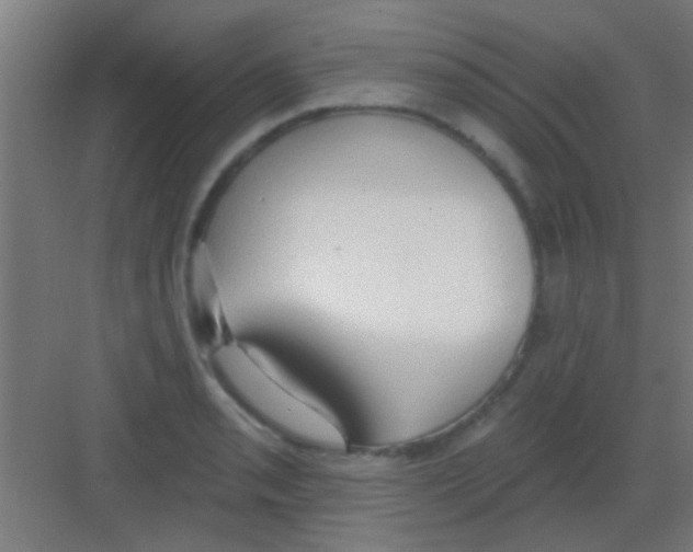 X0000081381085200702090006