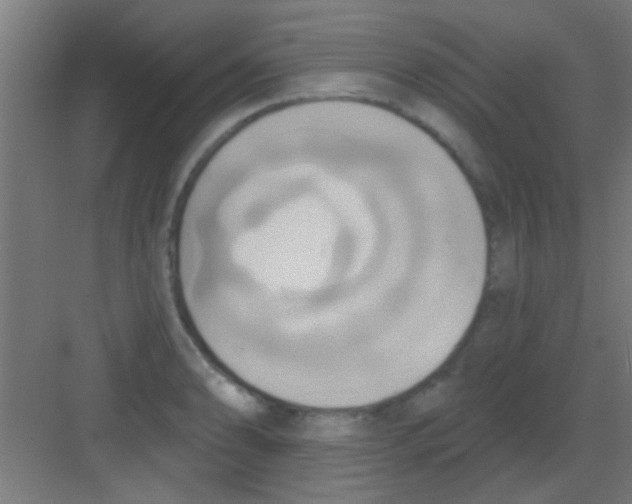 X0000081381086200702090006