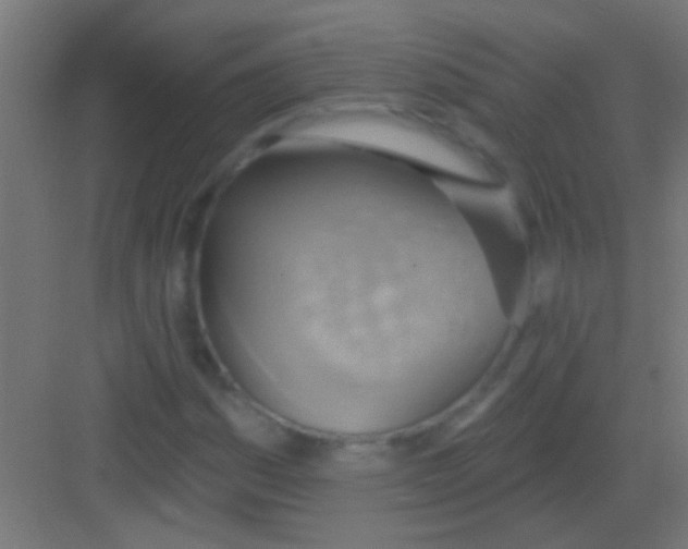 X0000081381161200702090004