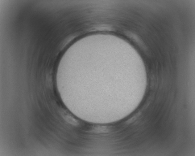 X0000081381162200702090004