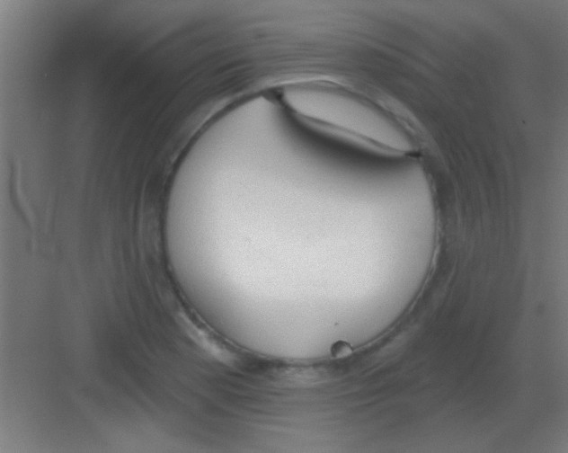 X0000081381177200702090004