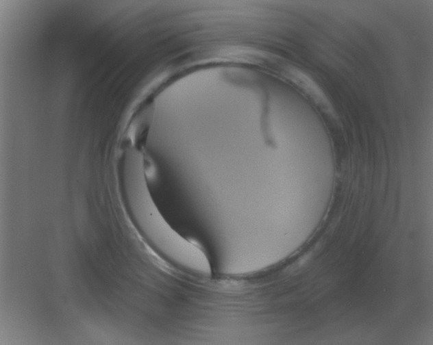 X0000081381180200702090004
