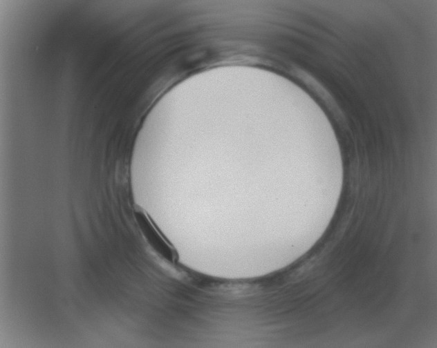 X0000081381193200702090004