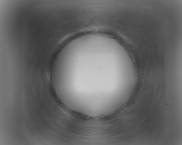 X0000081381206200702090003