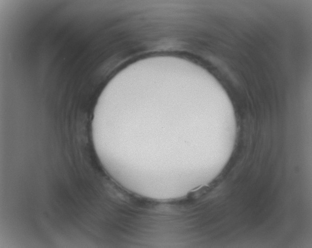 X0000081381265200702090003
