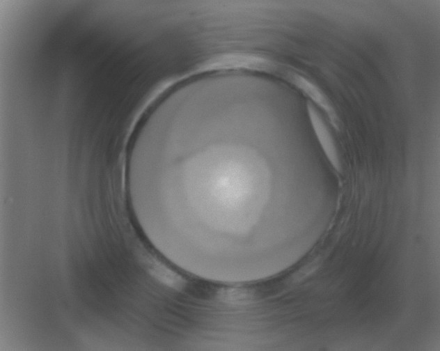 X0000081381275200702090003