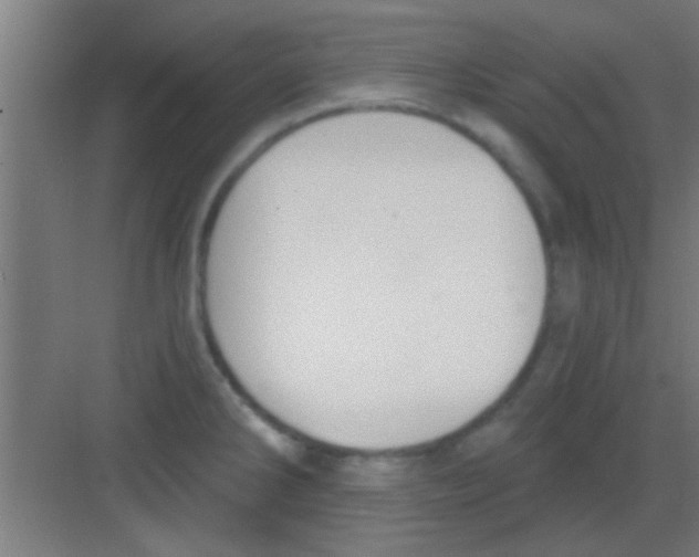 X0000081381286200702090002