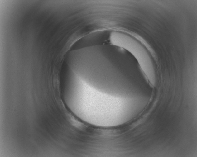 X0000081381289200702090002