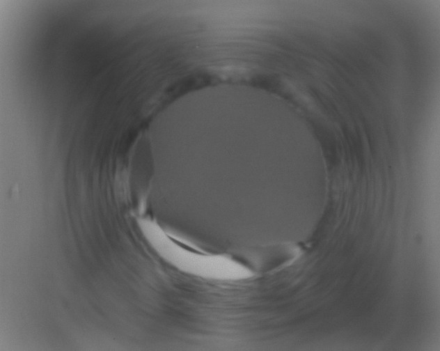 X0000081381298200702090001