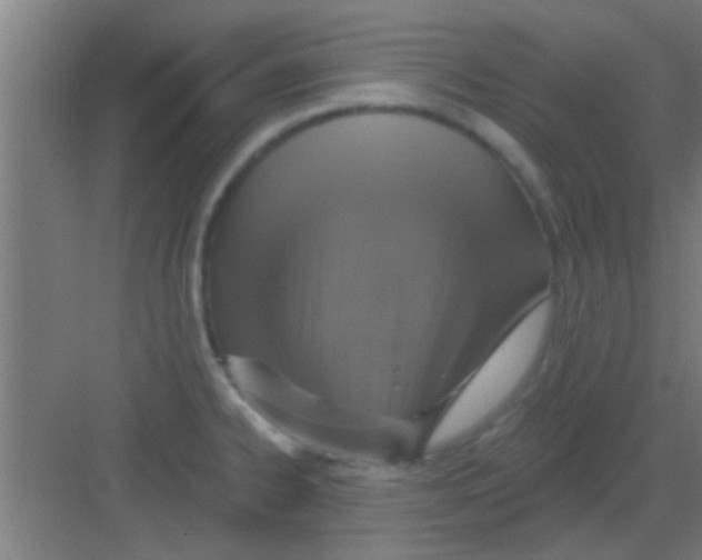 X0000081381334200702090002