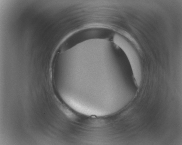 X0000081381372200702090001