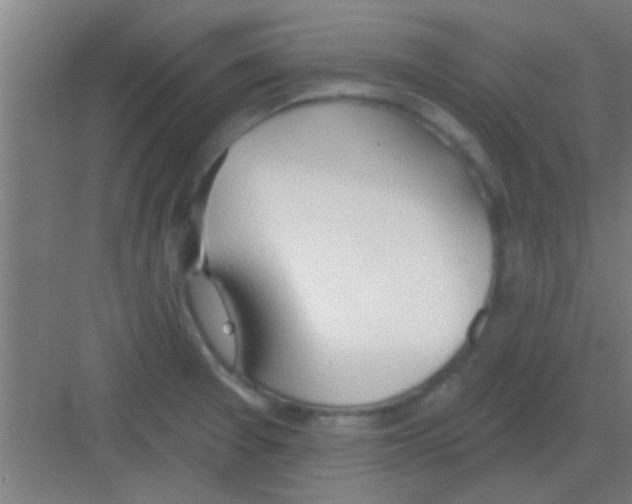 X0000081381377200702090001