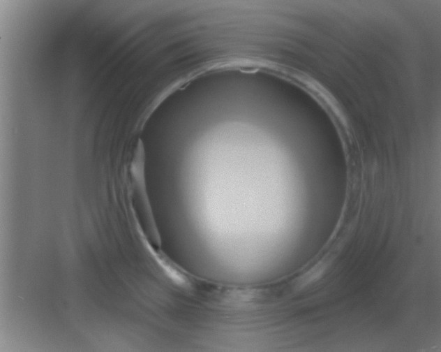 X0000081381385200702090001