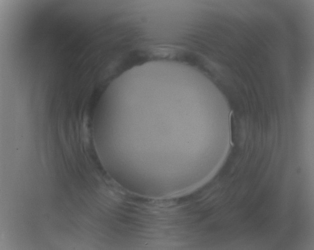 X0000081381394200702090000