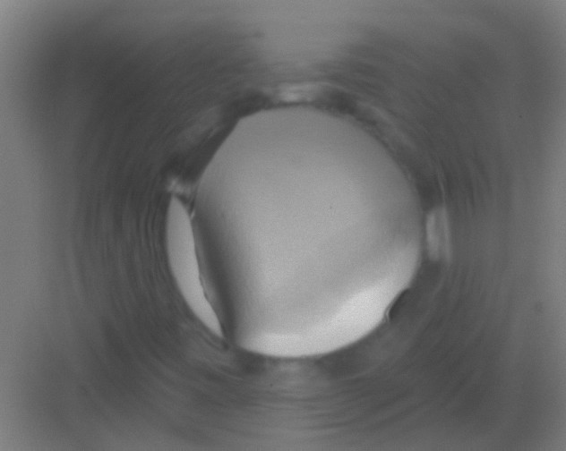 X0000081381443200702090000