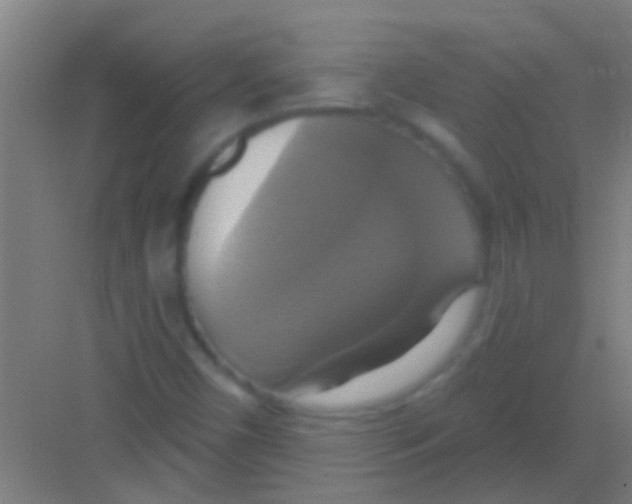 X0000081381450200702082359