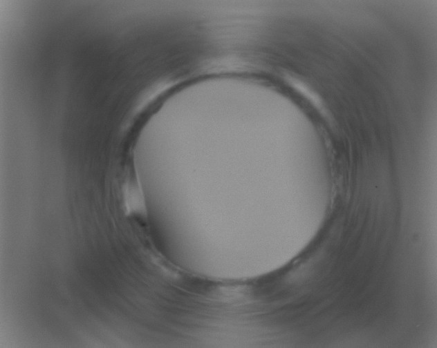 X0000081381453200702082359