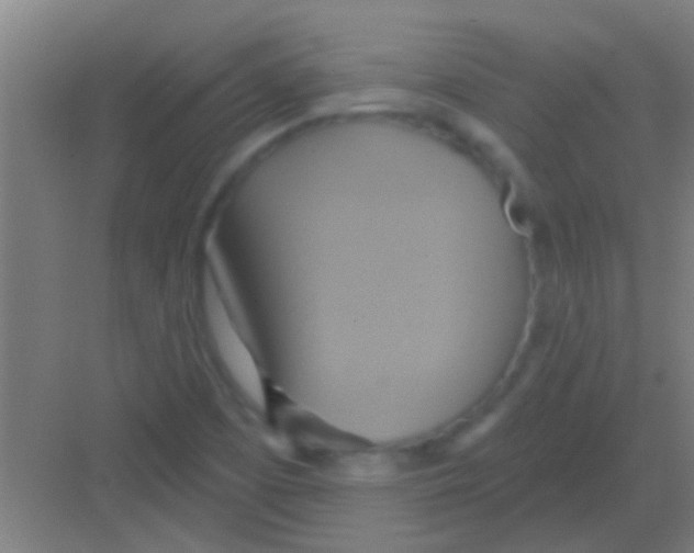 X0000081381457200702082359