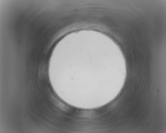 X0000081381498200702082358