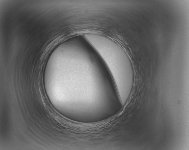 X0000081390001200701111219