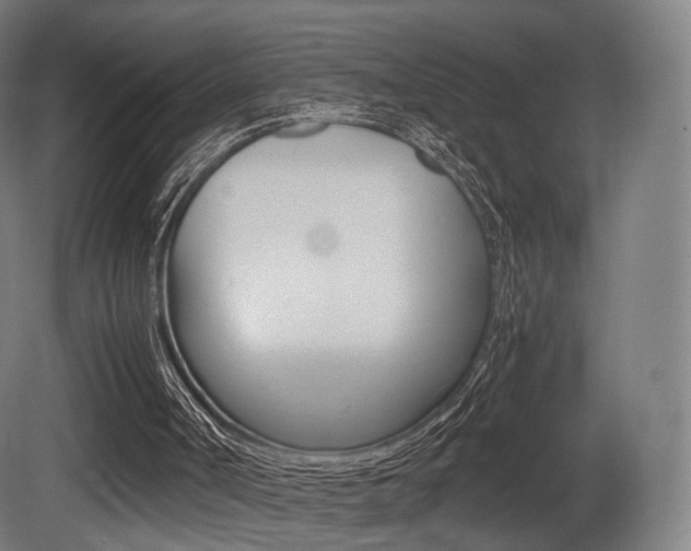 X0000081390002200701111219