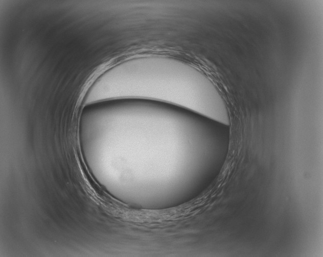 X0000081390003200701111219