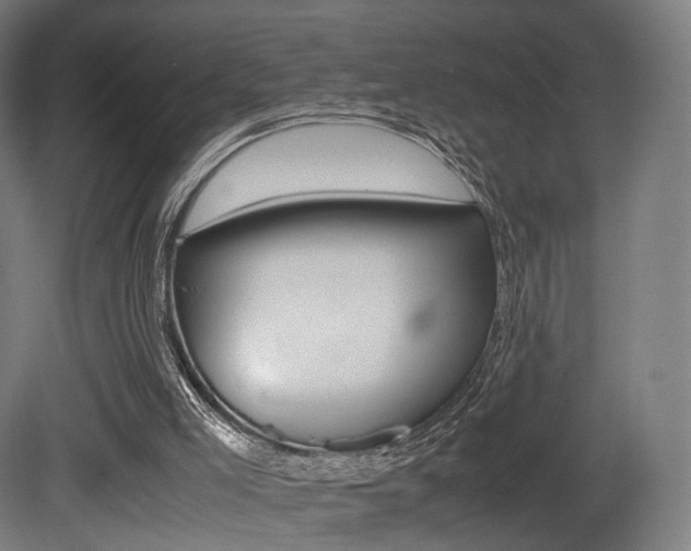 X0000081390005200701111219