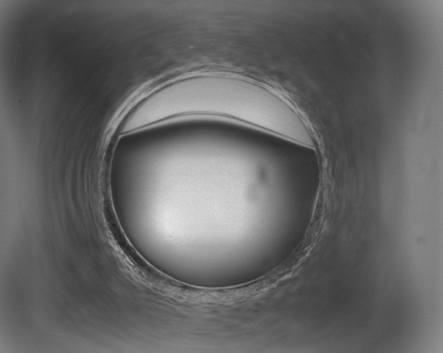 X0000081390007200701111219