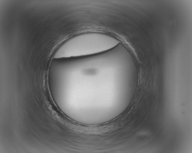 X0000081390010200701111219