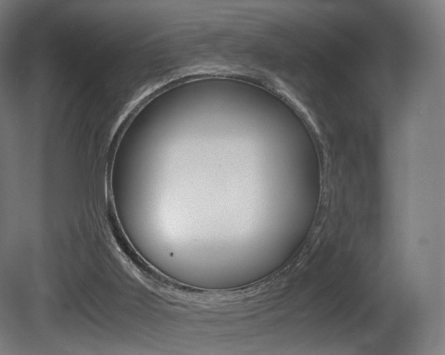 X0000081390011200701111219