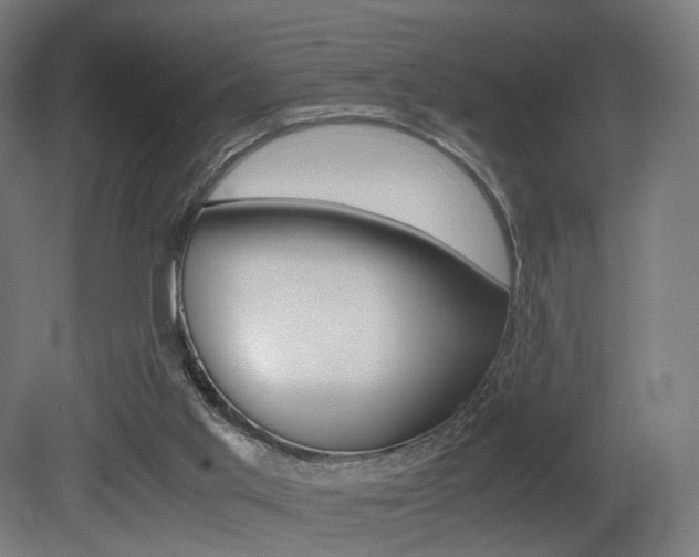 X0000081390013200701111219