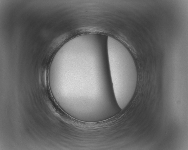 X0000081390014200701111219