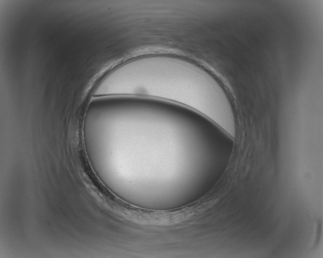 X0000081390015200701111219