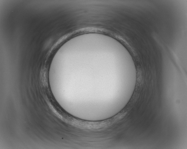 X0000081390016200701111219