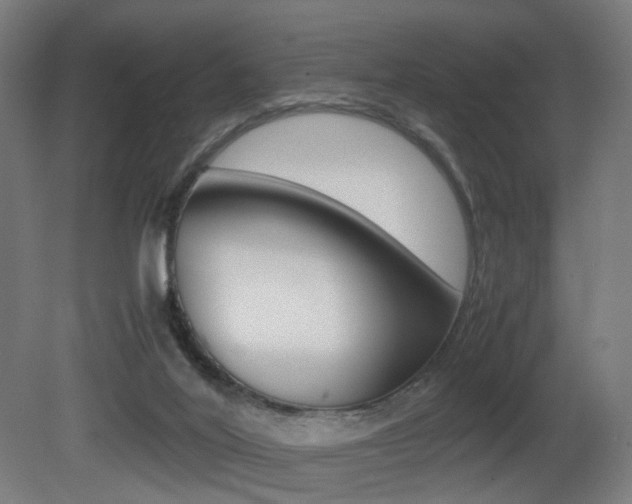 X0000081390020200701111218