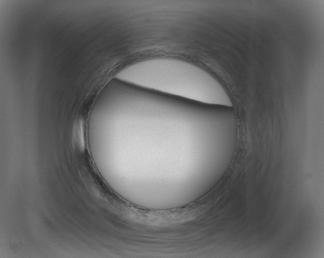 X0000081390022200701111218