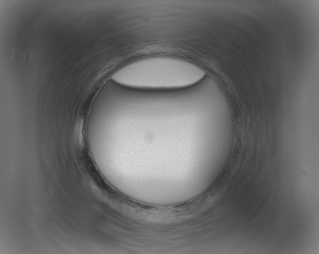 X0000081390024200701111218