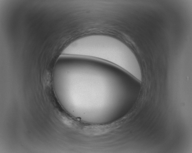 X0000081390025200701111218