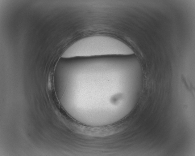 X0000081390026200701111218
