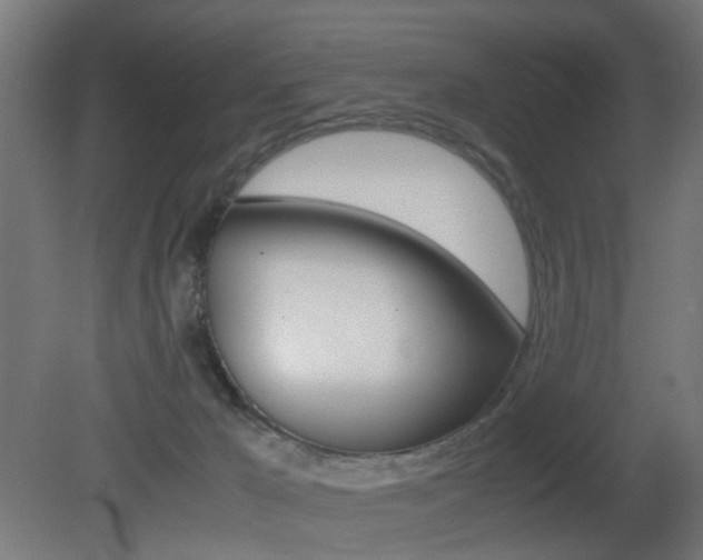 X0000081390029200701111218