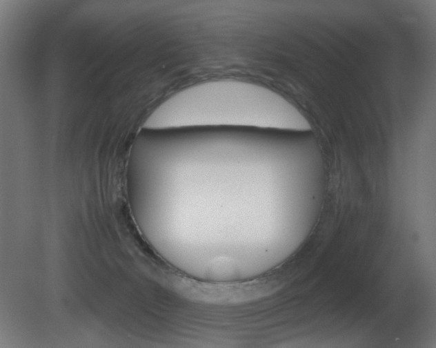 X0000081390030200701111218