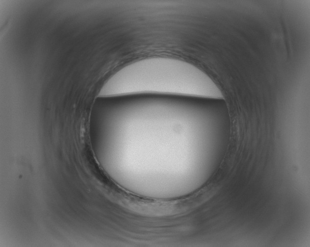 X0000081390032200701111218