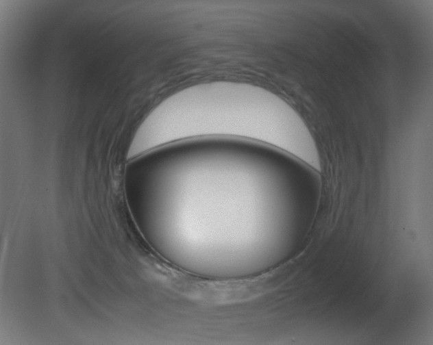 X0000081390033200701111218