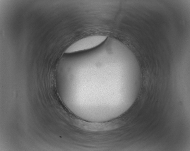 X0000081390034200701111218